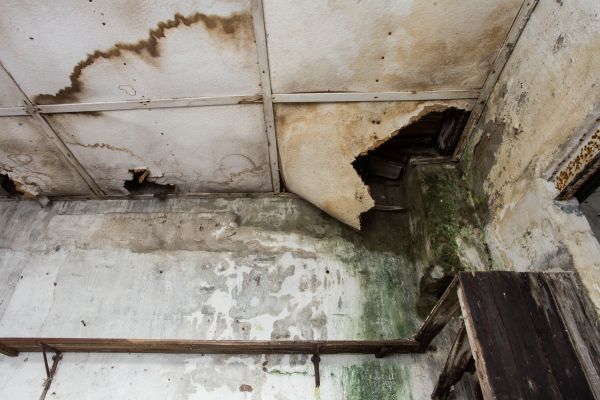 Cost of Water Damage Service in Spring