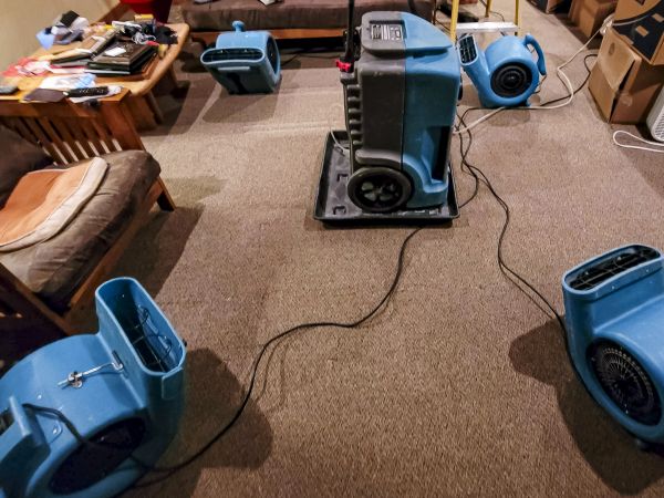 Cost of Flood Damage Recovery in Spring