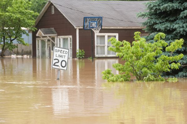 Cost of Storm Restoration Service in Spring