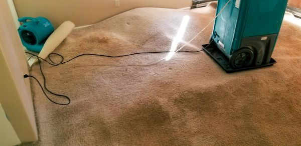 Cost of Flood Damage Cleanup in Spring