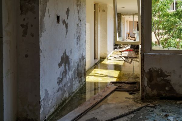 Cost of Water Removal Service in Spring