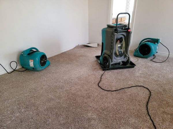 Cost of Water Damage Repair in Spring